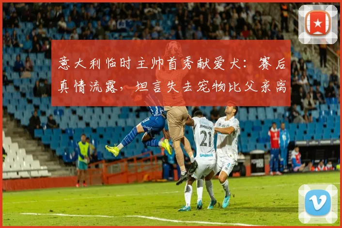 意大利临时主帅首秀献爱犬：赛后真情流露，坦言失去宠物比父亲离世更悲伤